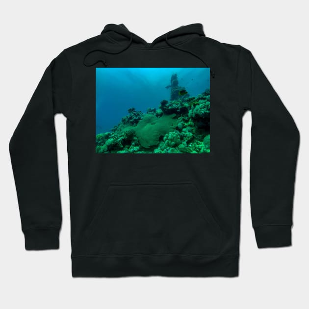 Coral reef and scuba diver Hoodie by likbatonboot